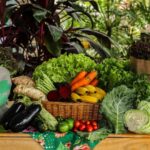 Os principais desafios do armazenamento de alimentos orgânicos e como superá-los